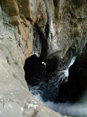 Pyrenees